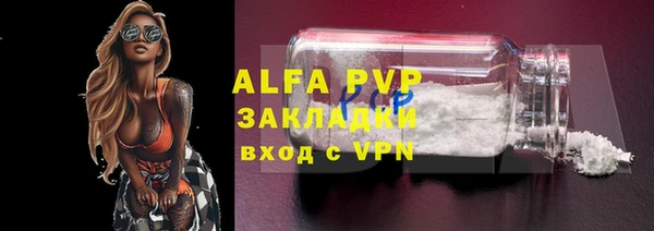 спиды Аркадак