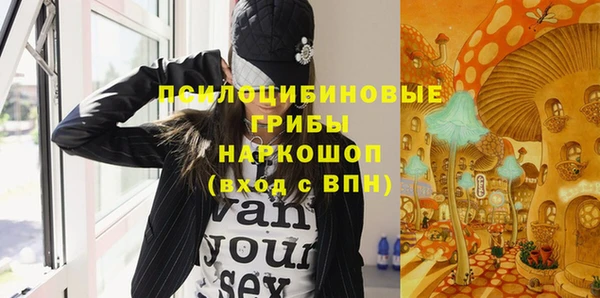спиды Аркадак