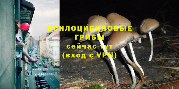 mdpv Армянск