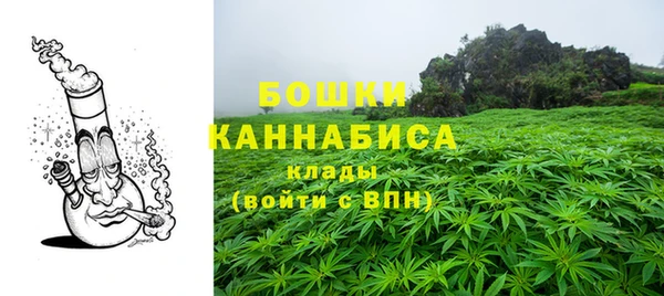 спиды Аркадак